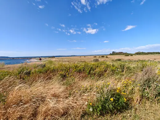 Færgen lægger til i Bøjden