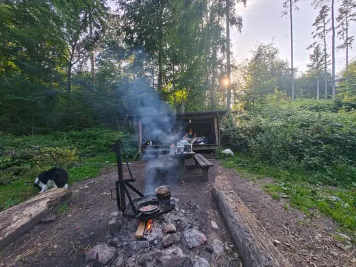 Bålhytten i Nøffelskoven