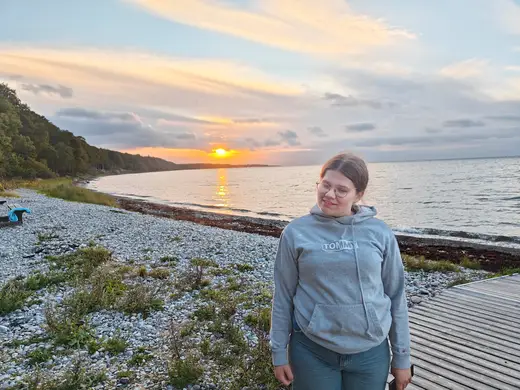 Solnedgang fra Nørreskoven