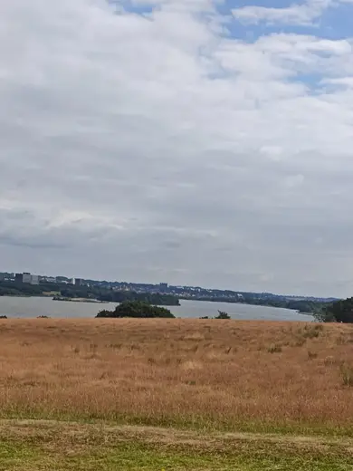 Marker og udsigt over dammen