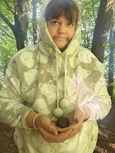 Bovister fundet i græsset