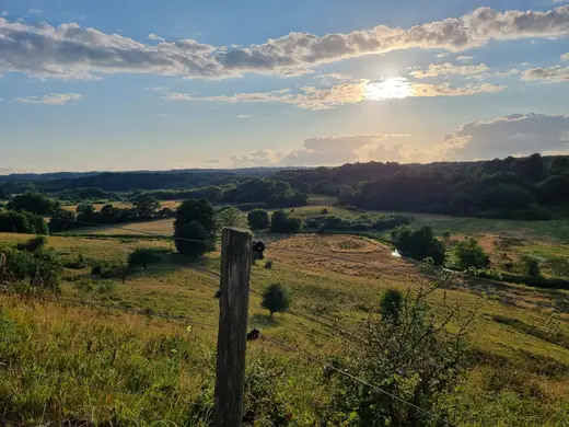 Solnedgang over Vejle Ådal