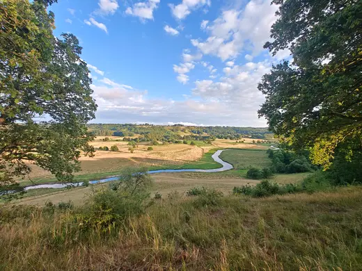 Vejle Ådal om aftenen