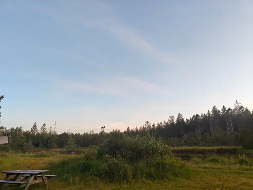 Aften ved Trotylsøen
