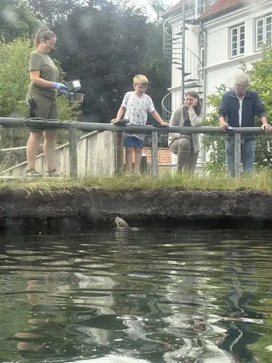 AQUA i Silkeborg