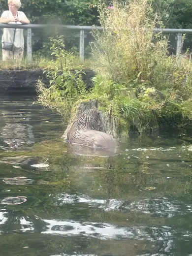 AQUA i Silkeborg
