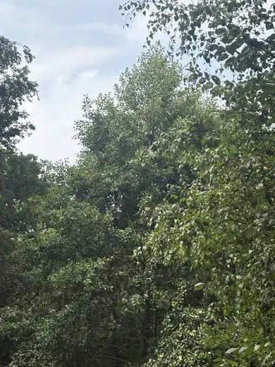 AQUA i Silkeborg